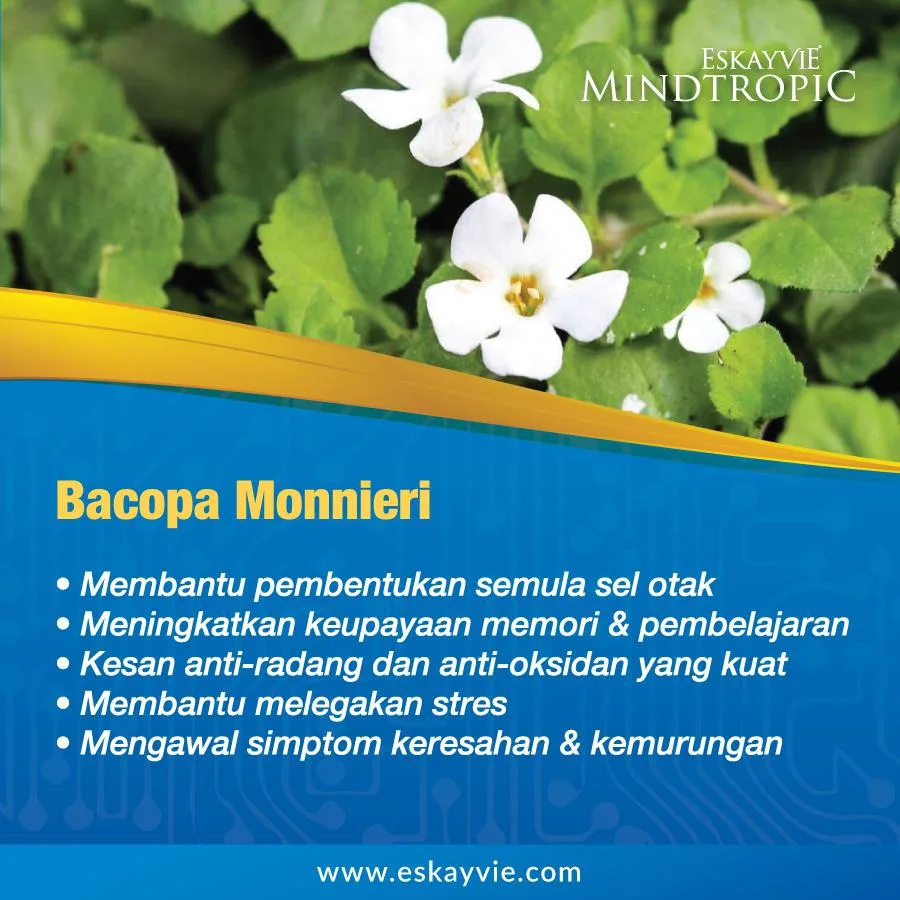 Bacopa