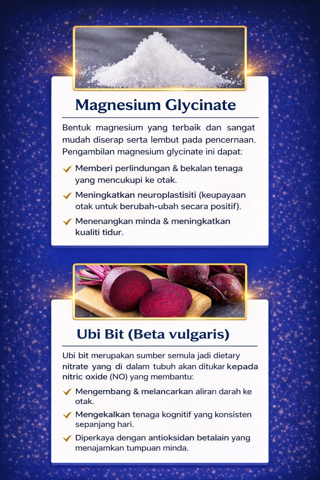 Nutrisi Mindtropic 4