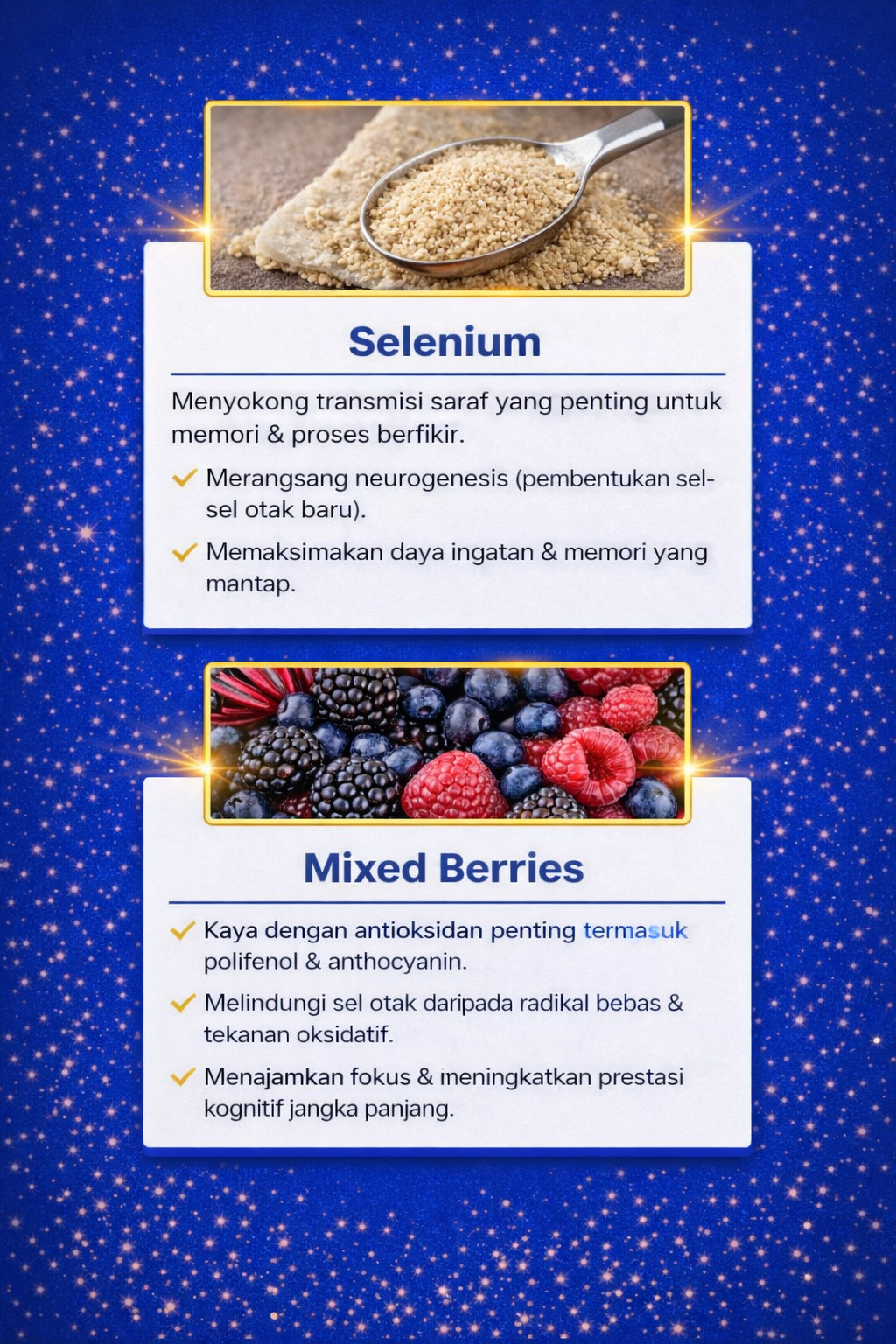 Nutrisi Mindtropic 3