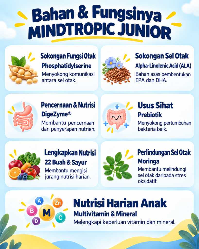 Bahan dan fungsi Mindtropic Junior: sokongan fungsi otak, pencernaan, usus sihat dan nutrisi harian anak.